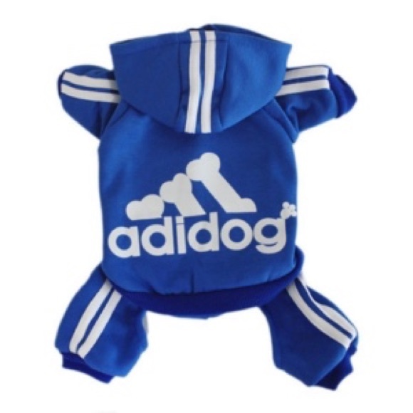 Adidog Royal Blue Tracksuit - Picture 6 of 8